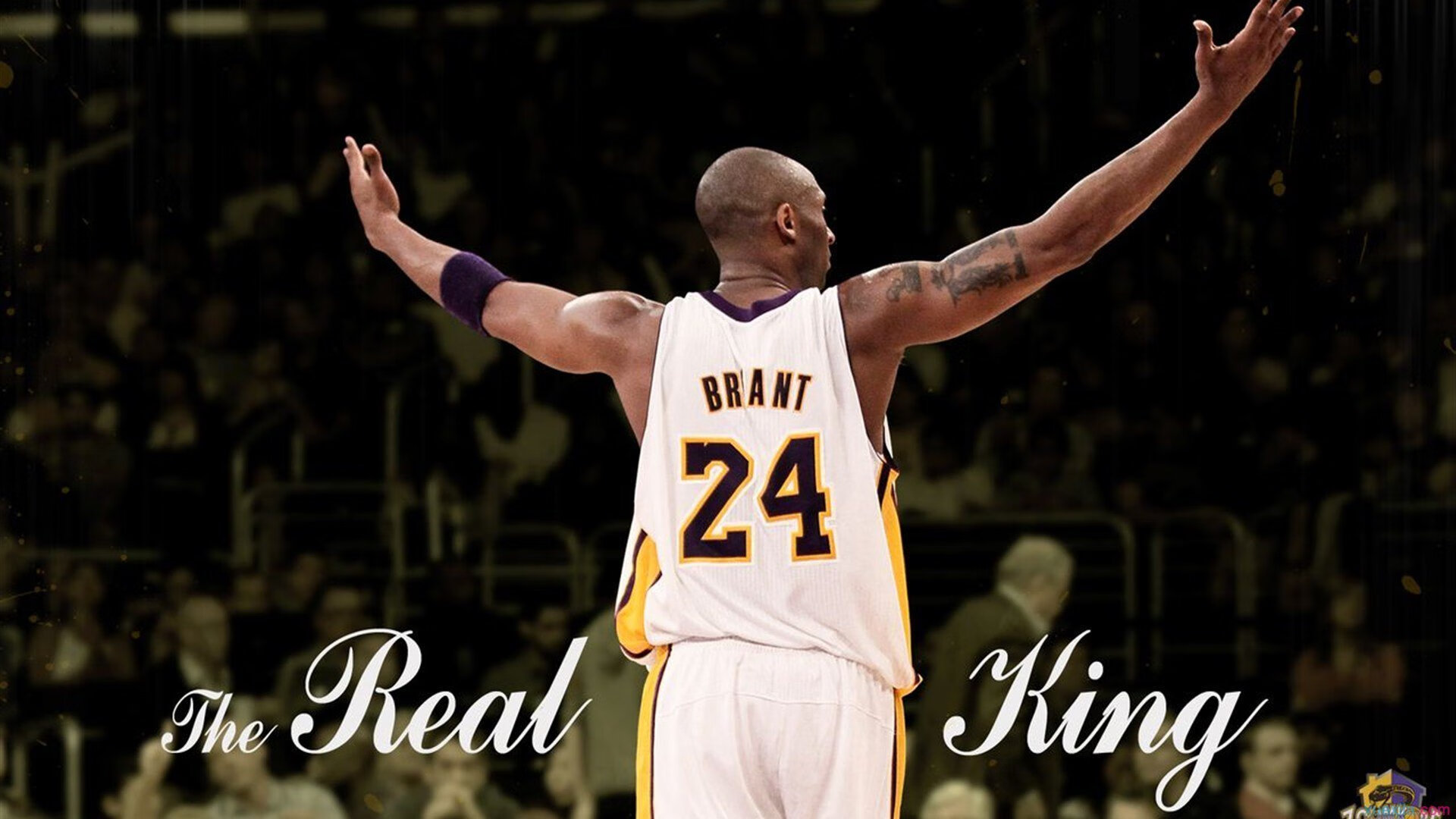 青训体系再结硕果,U18梯队勇夺全国青年锦标赛冠军