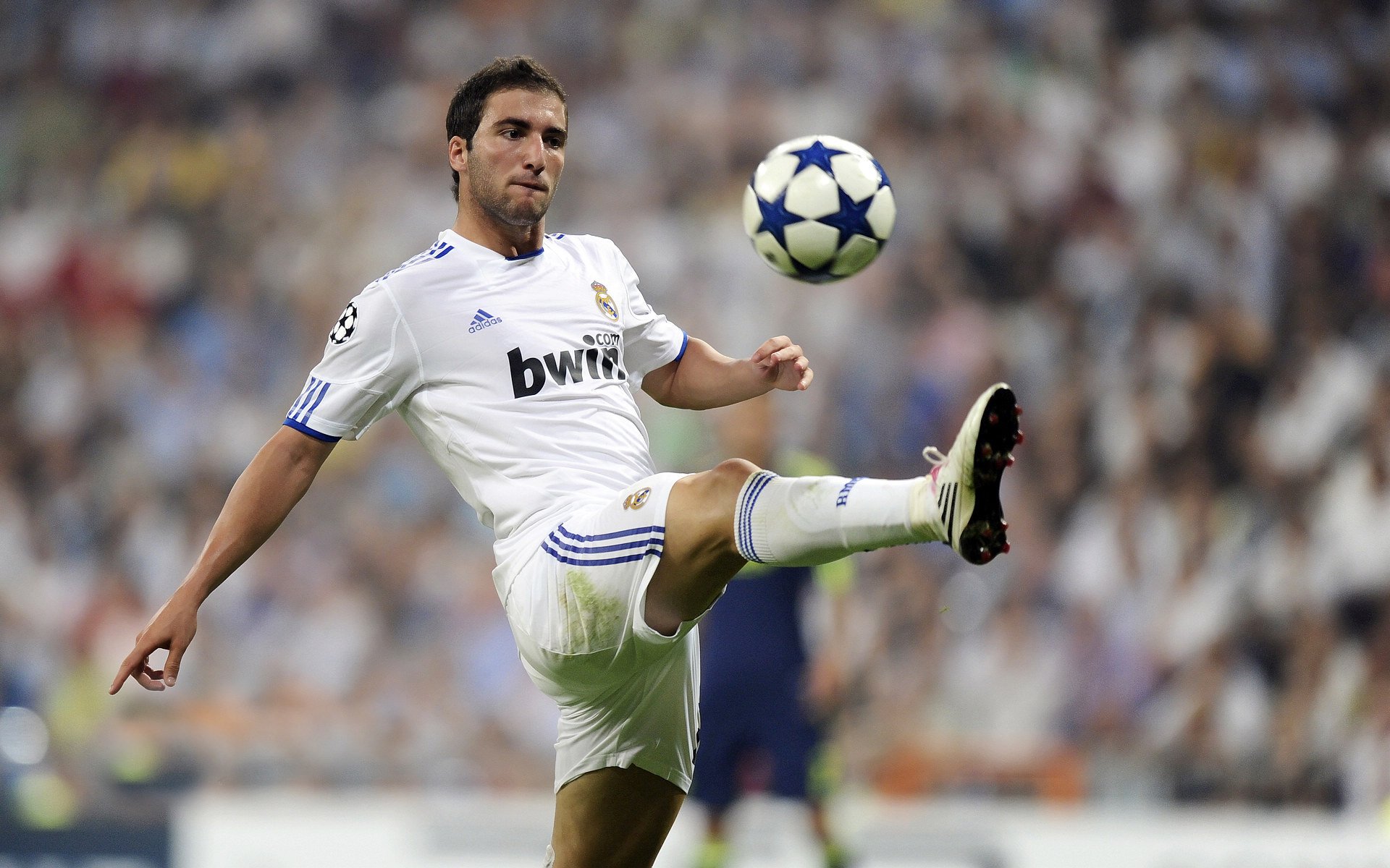 纳达尔强势回归法网,红土之王再展统治力